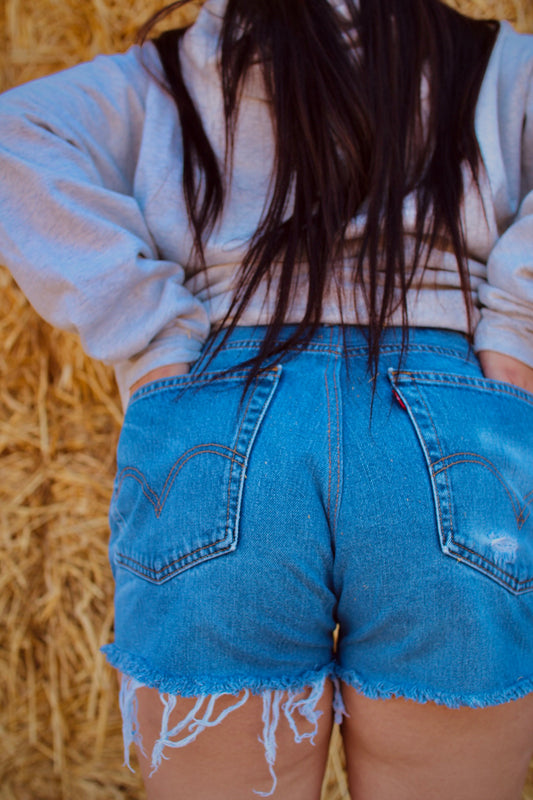 Not Your Dads Upcycled Denim Shorts